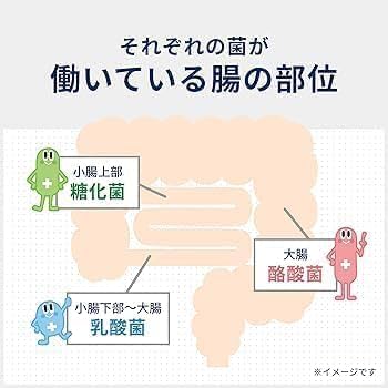 Amazon.co.jp: ビオスリーHi錠 生菌整腸剤 540錠×2個セット
